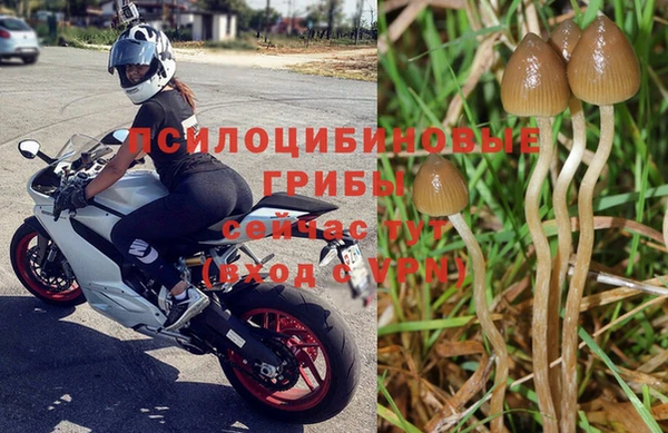 MDMA Premium VHQ Зеленодольск