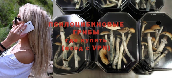 молекула духа Зерноград