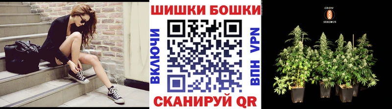 Купить  Александровское  Шишки марихуана VHQ 